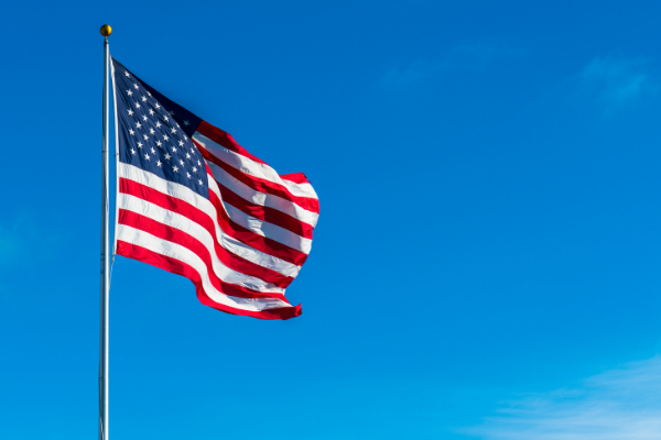  Waving flag on pole 